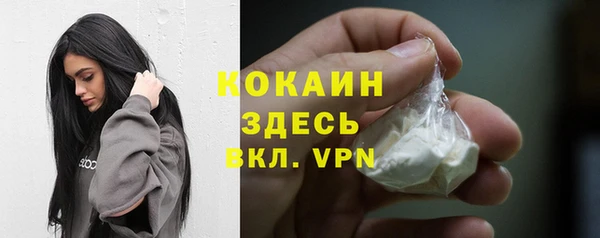 бошки Алексин