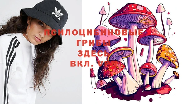каннабис Абаза