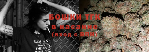 прущие крисы Абинск
